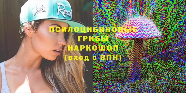 бошки Абаза