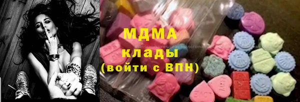 индика Няндома