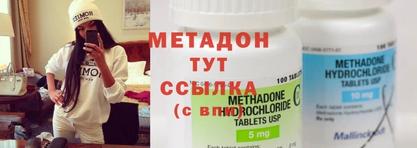 индика Няндома