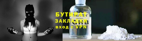 индика Няндома