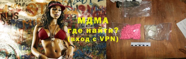 индика Няндома