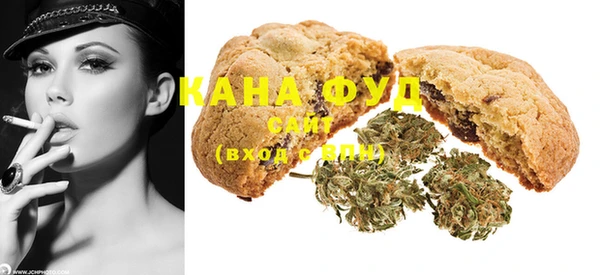 индика Няндома