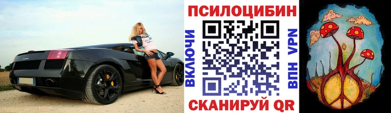 где найти Сарапул Псилоцибиновые грибы мицелий
